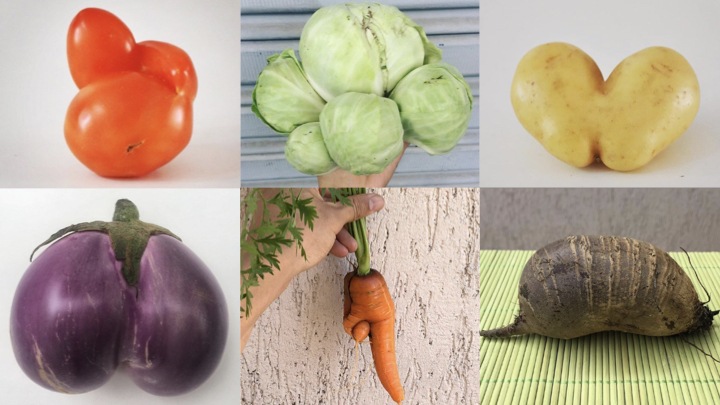 frutas, verduras e legumes em perspectiva